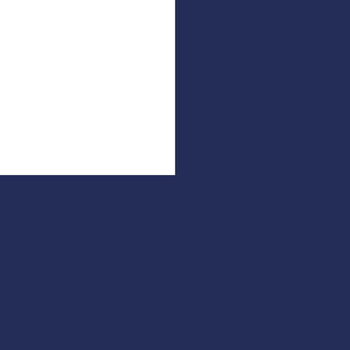 navy and white color swatch