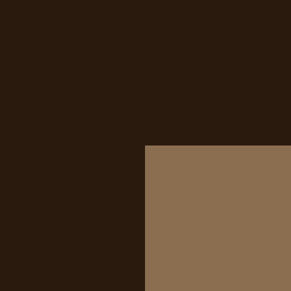 Men's Brazos | Brown