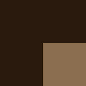 Men's Brazos | Brown