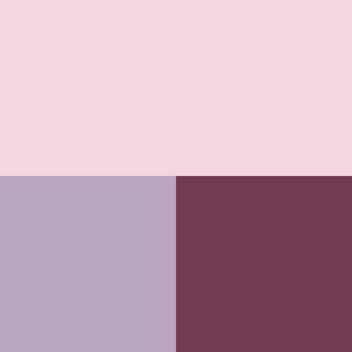 color swatch light pink, mauve and rose