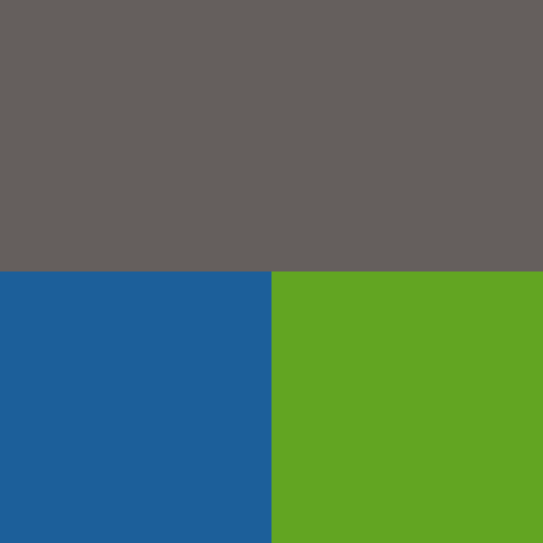 Scouts - Kids - Charcoal/Charcoal - Swatch