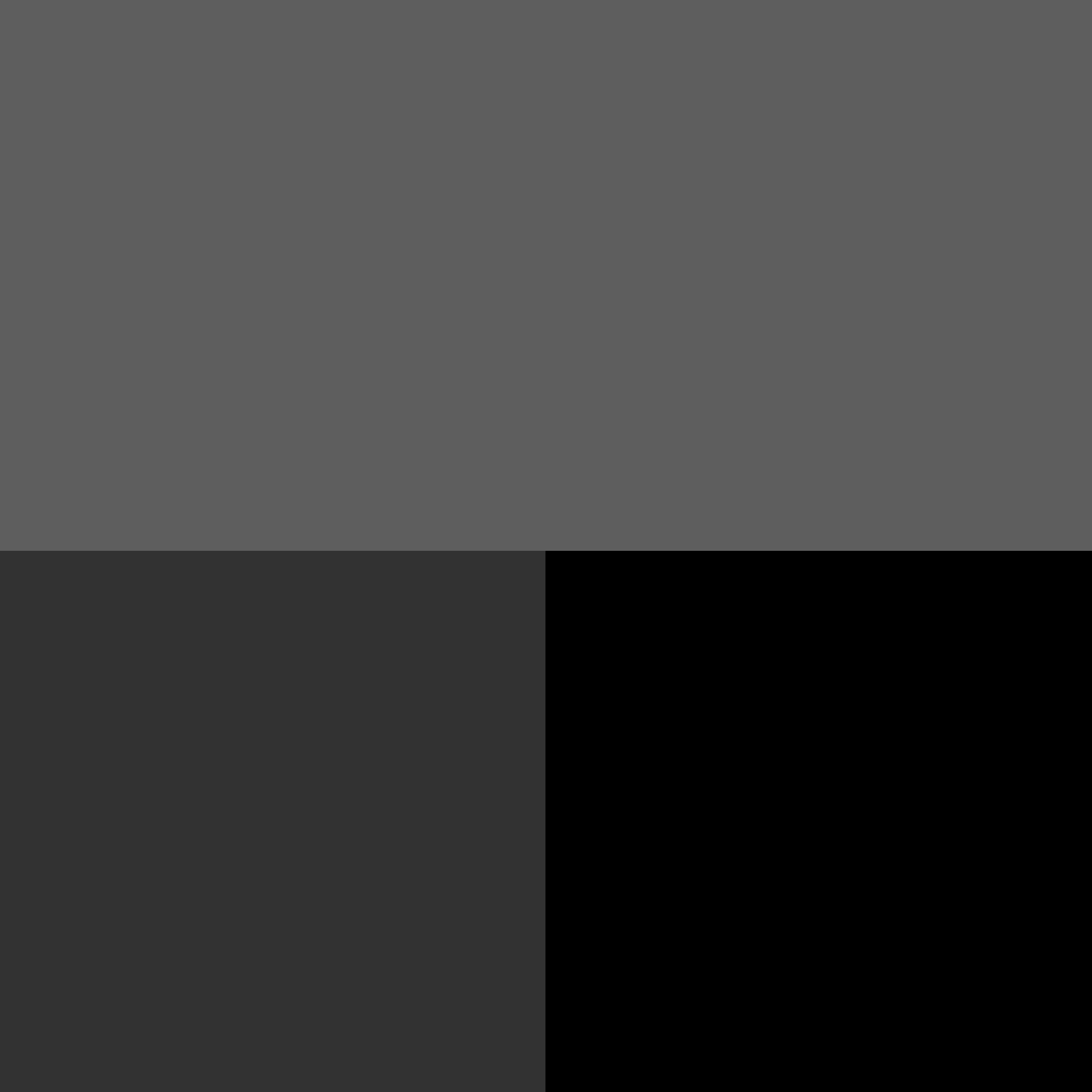 Charcoal gray color swatch