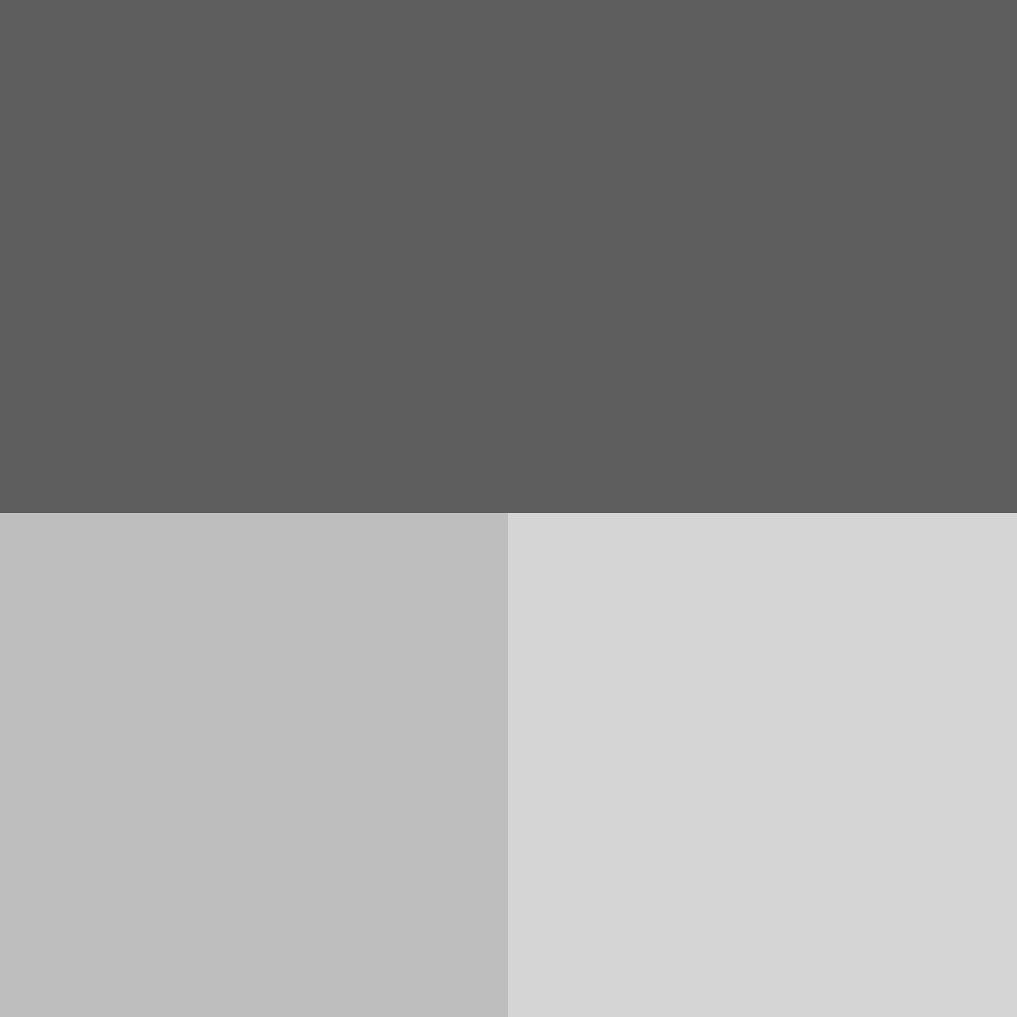 Gray color swatch