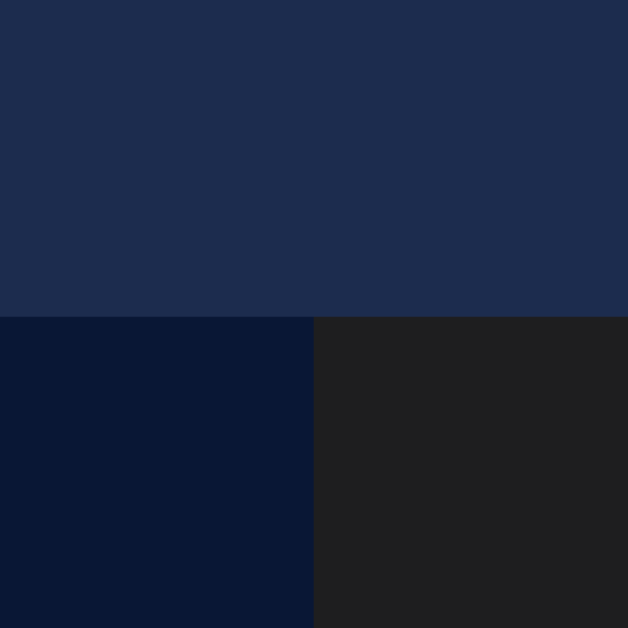 navy blue color swatch