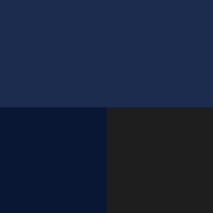 navy blue color swatch