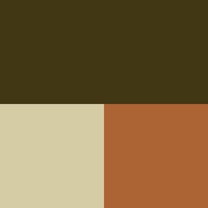 Color Swatch forest green, cream and orange