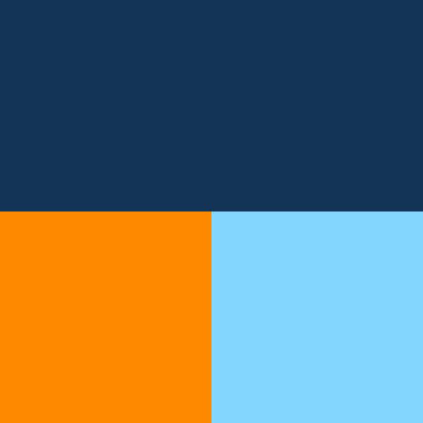 Dunes II - Mens - Navy - Swatch 