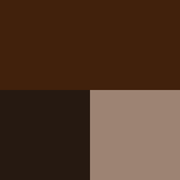 color swatch chocolate brown and light brown/cream