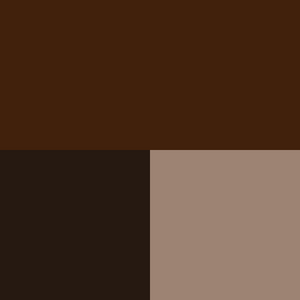 color swatch chocolate brown and light brown/cream