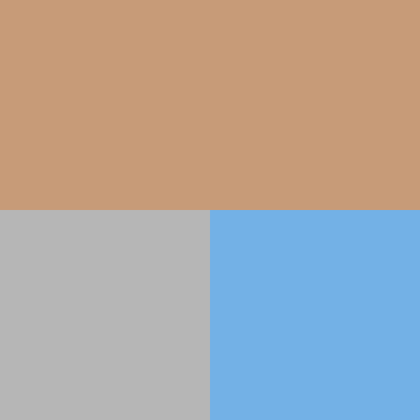 Men's Scouts | Gray / Blue