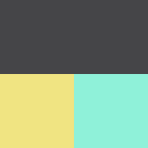 Women's Fields | Dark Gray / Aqua
