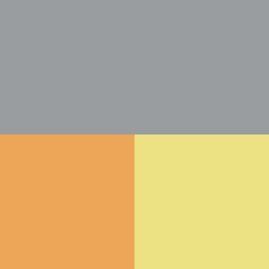 gray and yellow color swatch