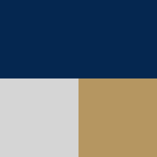 color swatch navy white and tan