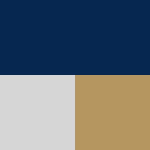 color swatch navy white and tan