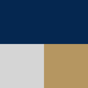 color swatch navy white and tan